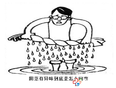 陰莖有異味到底是怎么回事-九江醫大醫院