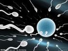 抗精子抗體陽性的治療方法是什么？