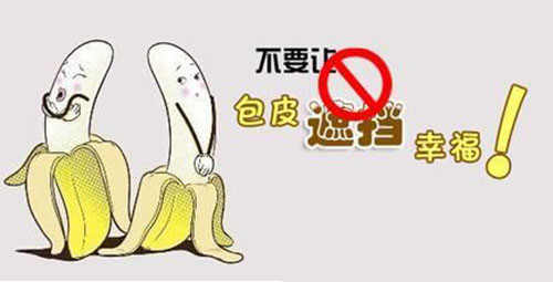 九江市陰莖包皮手術.